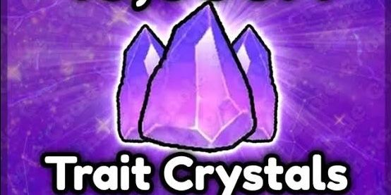 X10.000 TRAIT CRYSTAL RRS