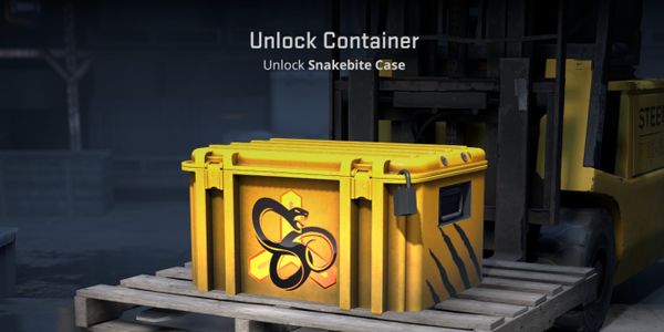 Snakebite Case (Container #315)