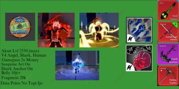 Blox Fruit Race Awakening V4 Shark, Human, Angel T1 Account - Sanguine Art & Shark Anchor | Blox Fruit