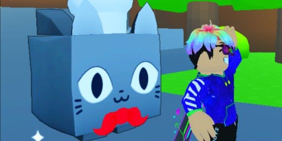 HUGE CHEF CAT TRANSFERED