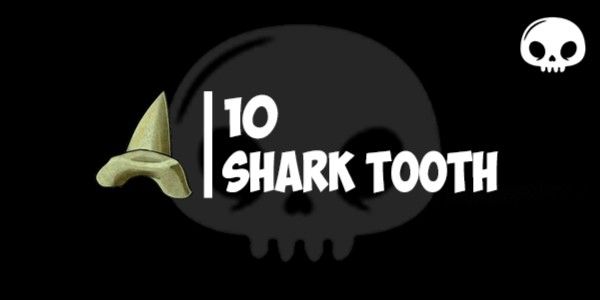Shark Tooth