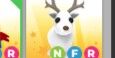 nfr arctic reindeer