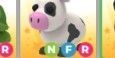 nfr cow