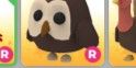 R Owl