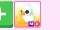 MR Happy Duckling
