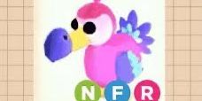 Nfr dodo