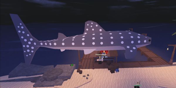 WHALE SHARK-(FISCH)
