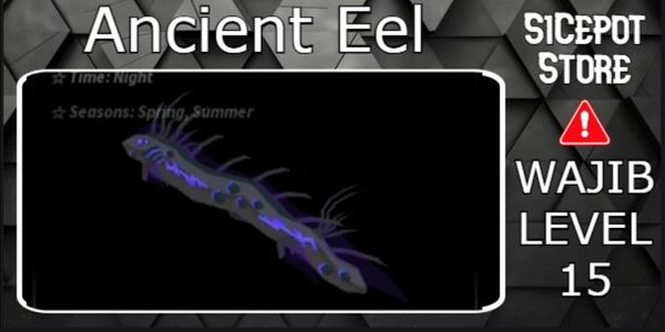 Ancient Eel Random Kg