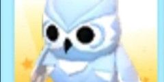 Snow Owl - Adopt me