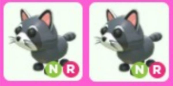 Buy Pet Neon RIde Raccoon Nr Adopt Me Roblox Trading Hub 2626812 | itemku
