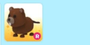 Beaver R / Ride - Adoptme