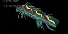 SEA SNAKE