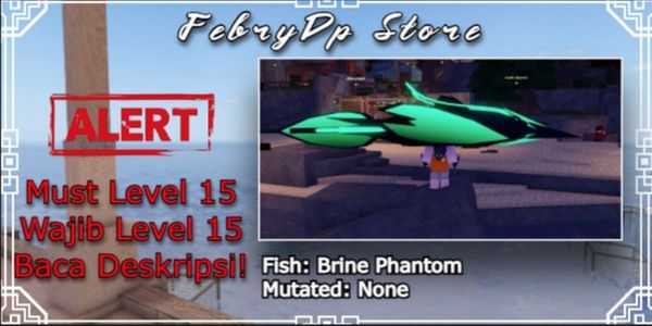 Brine Phantom Random KG