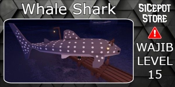 Whale Shark Random Kg
