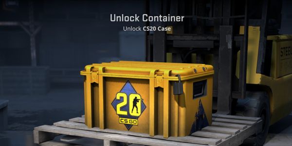 CS20 Case (Container #293)