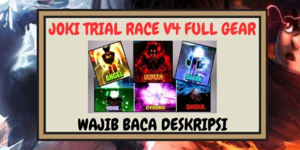 Jasa Race V4
