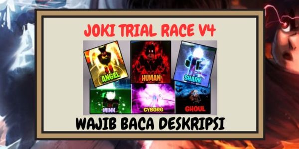 Jasa Race V4