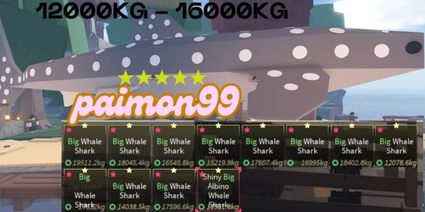 Big Whale Shark 12 Ton - 16 Ton