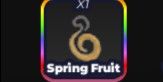 Spring Fruit