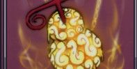 Gold Fruit