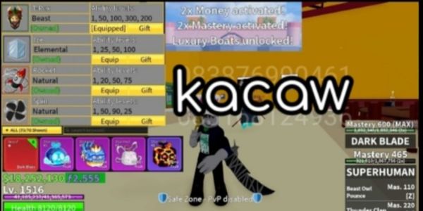 akun blox fruit ber perm