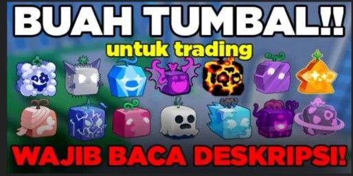 FRUIT TUMBAL (RANDOM)