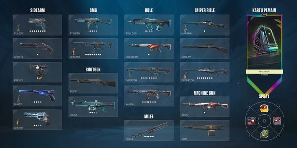 Valorant Account Last Rank Gold 2 Skin RGX 11Z Bundle And Prelude To Chaos Vandal