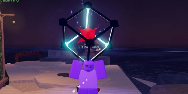Sparkling Shiny Big Sea Mine