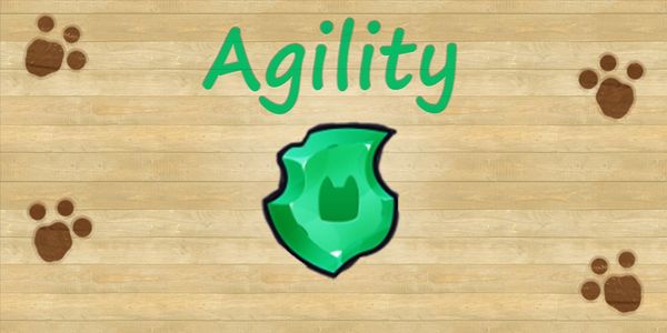 Agility Charm Epic