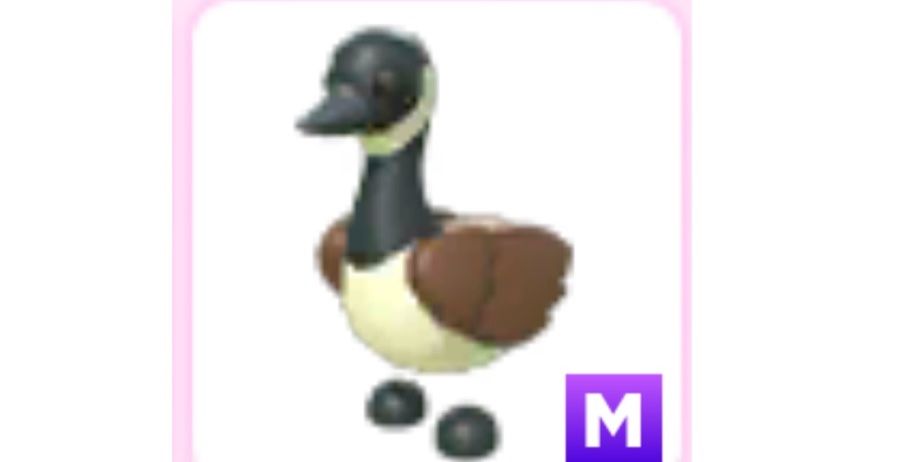 Beli Item Mega Nopotion Canadian Goose Adopt me Roblox Terlengkap dan