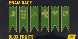 Jasa Race V3