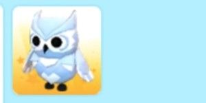 Snow Owl - Adoptme