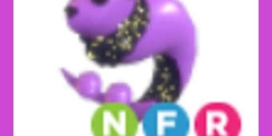 Capricorn NFR