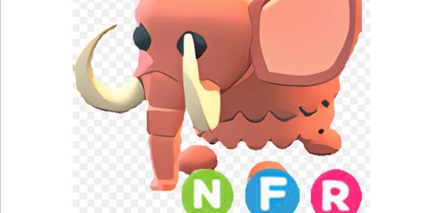 Wolly Mammoth NFR