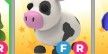 FR Cow