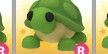 R Turtle