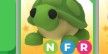 NFR Turtle