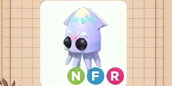 Squid NFR