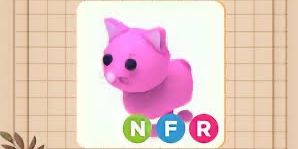 Pink Cat NFR