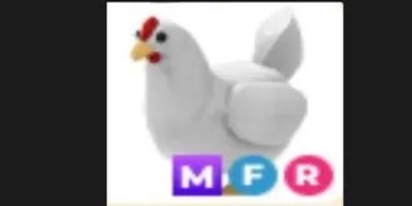Chicken MFR