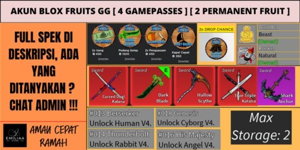 Blox Fruit GG Account [5 GAMEPASSES] [2 PERMANENT FRUIT] V4 RACE