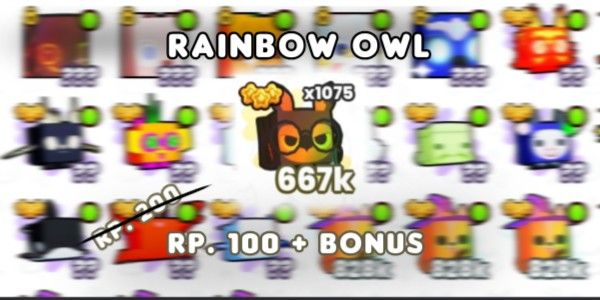 Owl
