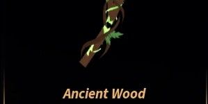Ancient Wood
