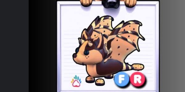 MFR Chocolate Chip Bat Dragon (CCBD)