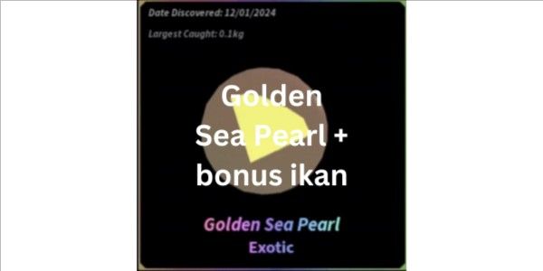 Golden Sea Pearl + BONUS IKAN!