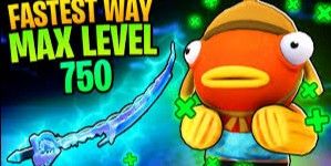 Leveling 500 - 750