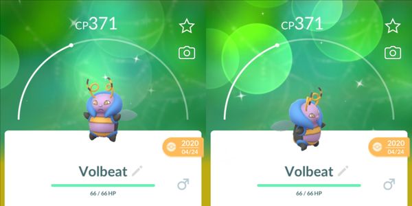 Volbeat Shiny