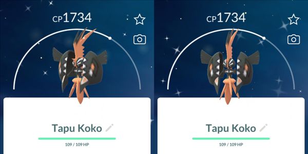 The term "Tapu Koko Shiny" refers to the Shiny variant of the Pokémon Tapu Koko. "Shiny" is an  term used in the Pokémon franchise to describe a Pokémon with a different coloration than usual.