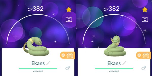 Ekans Shiny