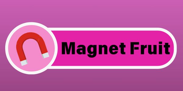 Magnet Fruit